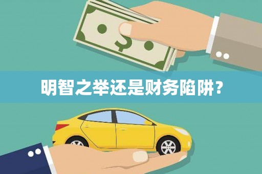 南阳明智之举还是财务陷阱？