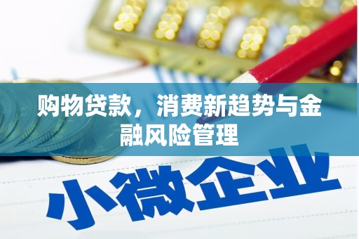 南阳购物贷款，消费新趋势与金融风险管理