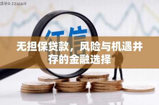 南阳无担保贷款，风险与机遇并存的金融选择