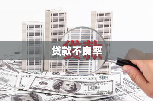 南阳贷款不良率