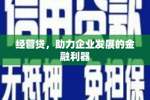 南阳经营贷，助力企业发展的金融利器