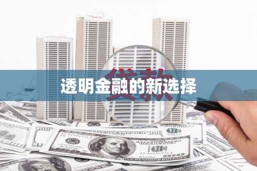 南阳透明金融的新选择