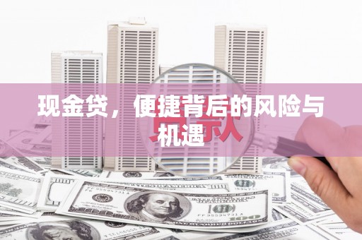 南阳现金贷，便捷背后的风险与机遇