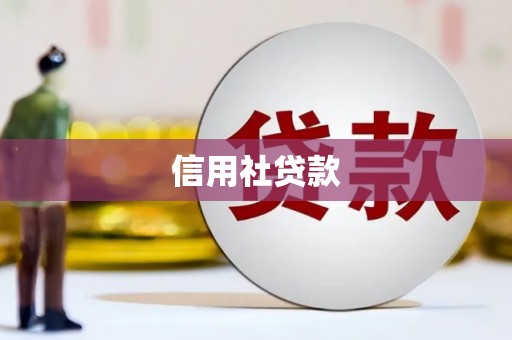 南阳信用社贷款