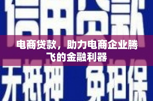 南阳电商贷款，助力电商企业腾飞的金融利器