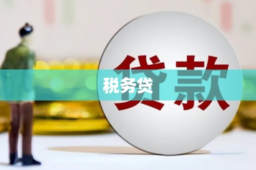 南阳税务贷