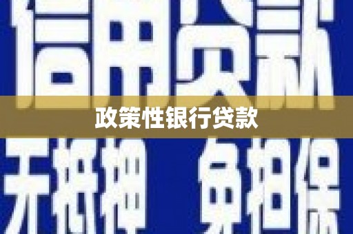 南阳政策性银行贷款
