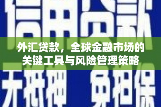 南阳外汇贷款，全球金融市场的关键工具与风险管理策略