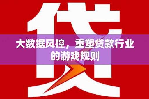 南阳大数据风控，重塑贷款行业的游戏规则