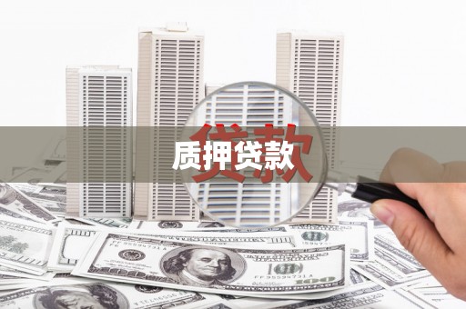 南阳质押贷款