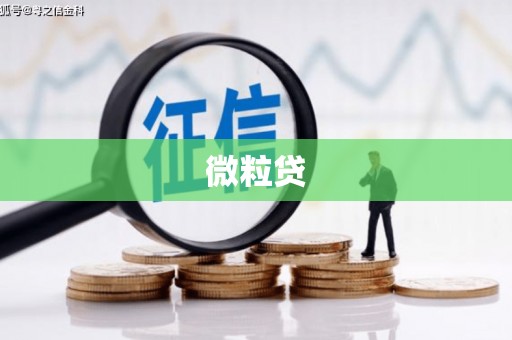 南阳微粒贷