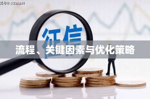 南阳流程、关键因素与优化策略
