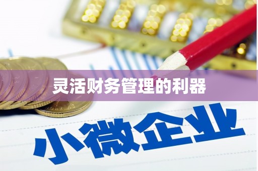 南阳灵活财务管理的利器
