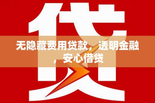 南阳无隐藏费用贷款，透明金融，安心借贷