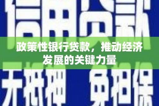 南阳政策性银行贷款，推动经济发展的关键力量