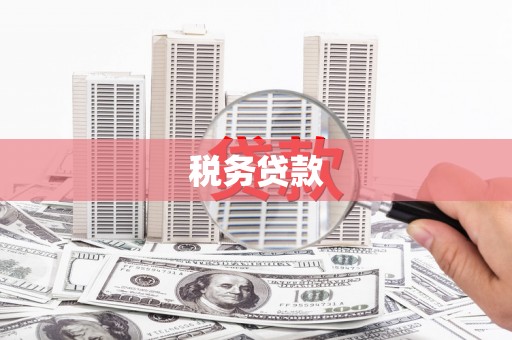 南阳税务贷款