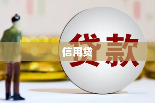 南阳信用贷