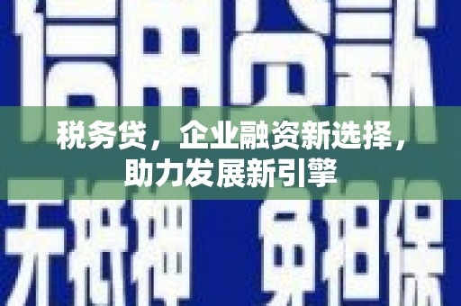 南阳税务贷，企业融资新选择，助力发展新引擎