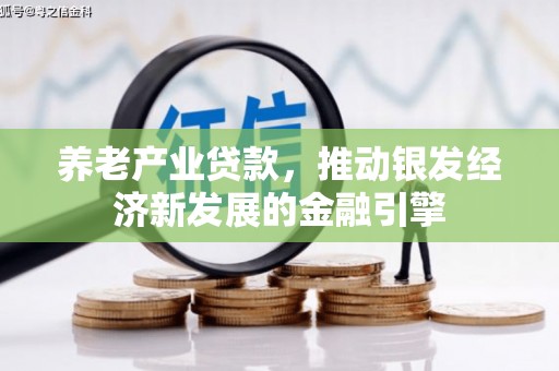 南阳养老产业贷款，推动银发经济新发展的金融引擎