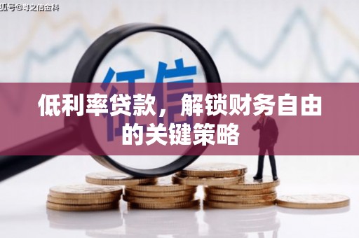 南阳低利率贷款，解锁财务自由的关键策略