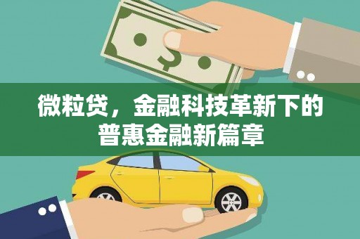 南阳微粒贷，金融科技革新下的普惠金融新篇章