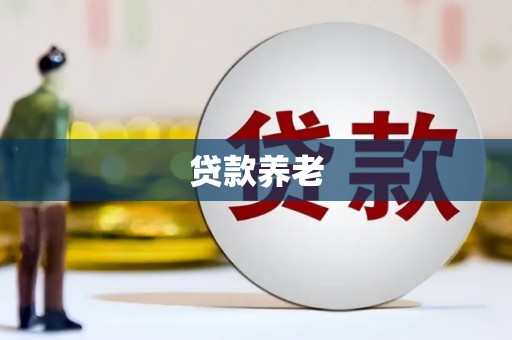 南阳贷款养老