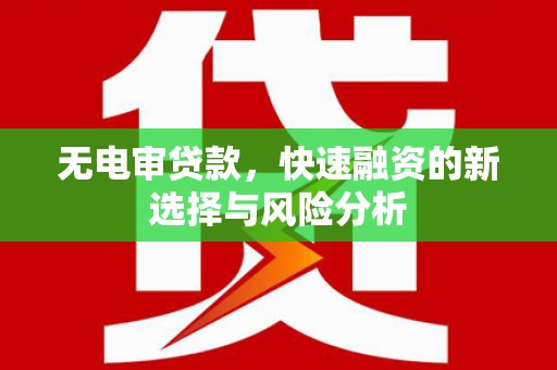 南阳无电审贷款，快速融资的新选择与风险分析
