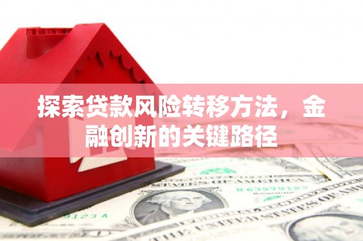 南阳探索贷款风险转移方法，金融创新的关键路径