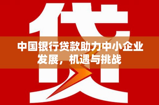 南阳中国银行贷款助力中小企业发展，机遇与挑战