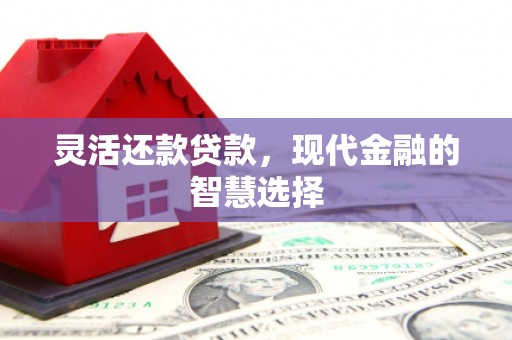 南阳灵活还款贷款，现代金融的智慧选择
