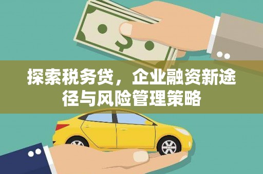 南阳探索税务贷，企业融资新途径与风险管理策略