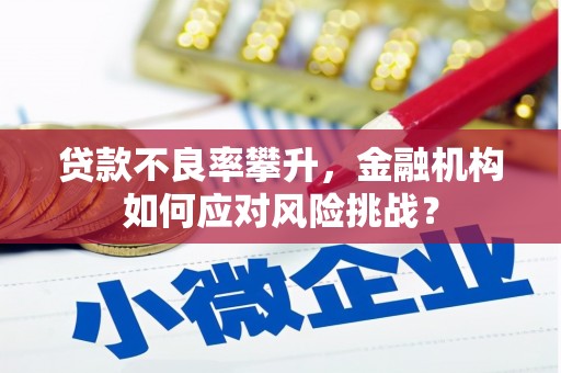 南阳贷款不良率攀升，金融机构如何应对风险挑战？