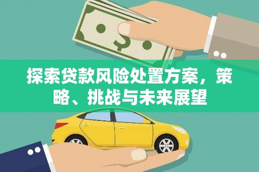 南阳探索贷款风险处置方案，策略、挑战与未来展望