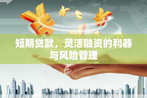 南阳短期贷款，灵活融资的利器与风险管理