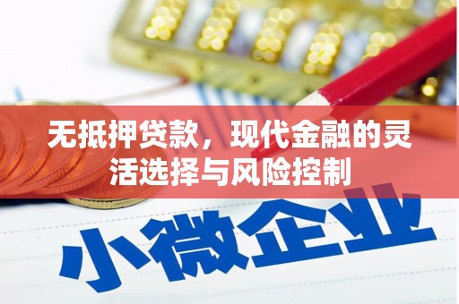 南阳无抵押贷款，现代金融的灵活选择与风险控制