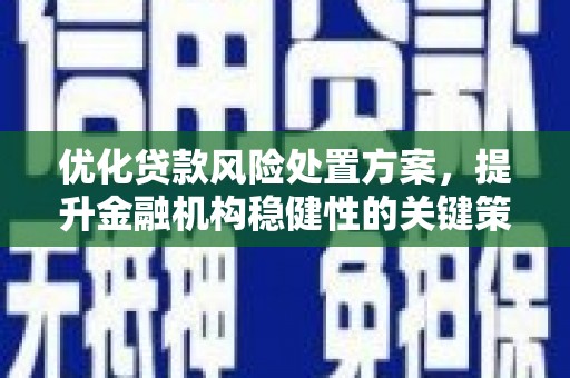 南阳优化贷款风险处置方案，提升金融机构稳健性的关键策略