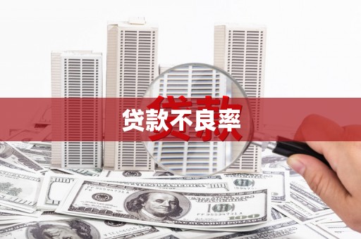 南阳贷款不良率