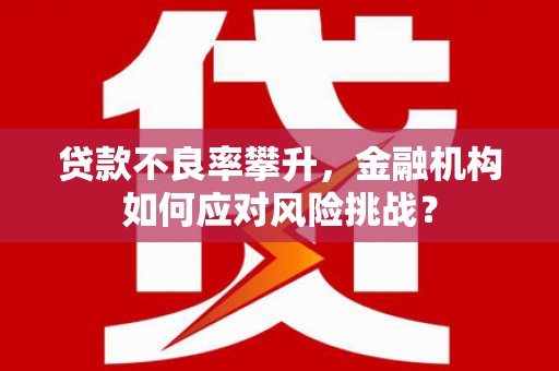南阳贷款不良率攀升，金融机构如何应对风险挑战？