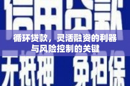 南阳循环贷款，灵活融资的利器与风险控制的关键