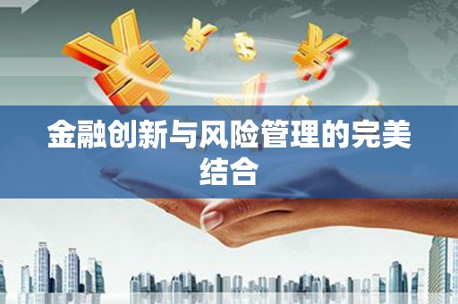 南阳金融创新与风险管理的完美结合
