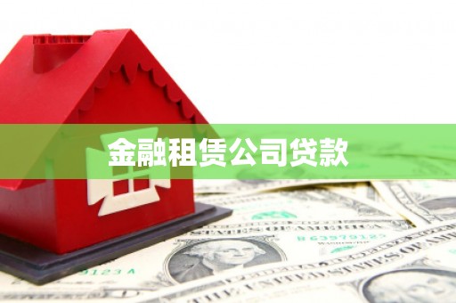 南阳金融租赁公司贷款