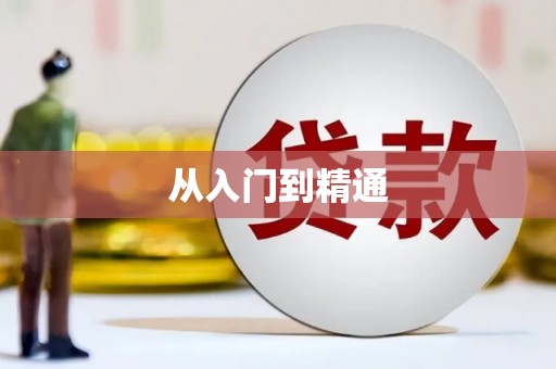 南阳从入门到精通