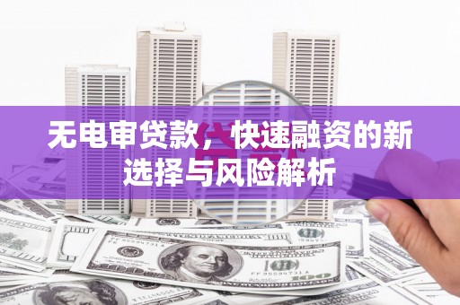 南阳无电审贷款，快速融资的新选择与风险解析