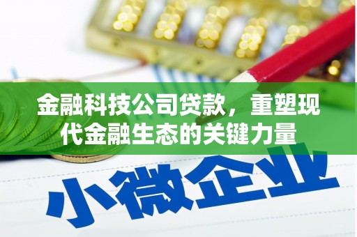南阳金融科技公司贷款，重塑现代金融生态的关键力量