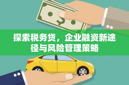 南阳探索税务贷，企业融资新途径与风险管理策略