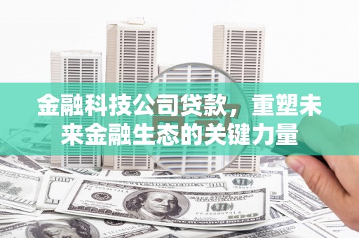 南阳金融科技公司贷款，重塑未来金融生态的关键力量