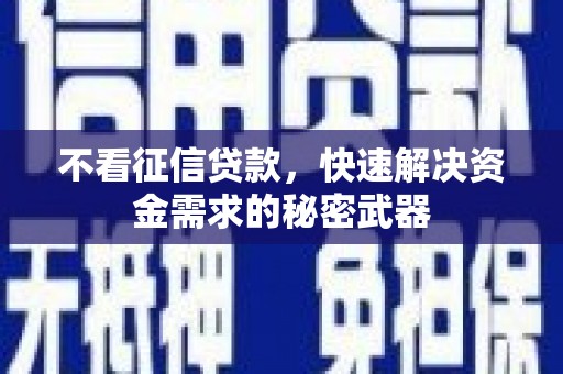 南阳不看征信贷款，快速解决资金需求的秘密武器