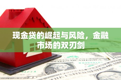 南阳现金贷的崛起与风险，金融市场的双刃剑