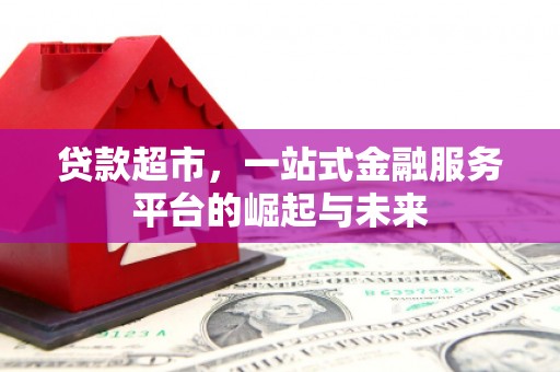 南阳贷款超市，一站式金融服务平台的崛起与未来