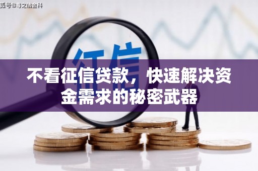 南阳不看征信贷款，快速解决资金需求的秘密武器